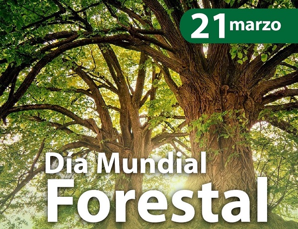 AFAREM plantará más de 2.000 árboles con motivo del Día Forestal Mundial 2 FRECOM