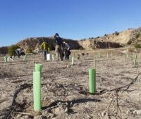 AFAREM y ARBA hacen la primera plantación en la cantera abandonada de Los Ásperos 1 FRECOM